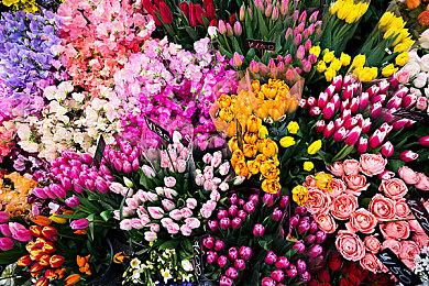 消息称任天堂直面会已经制作完成 本周晚些时候公开